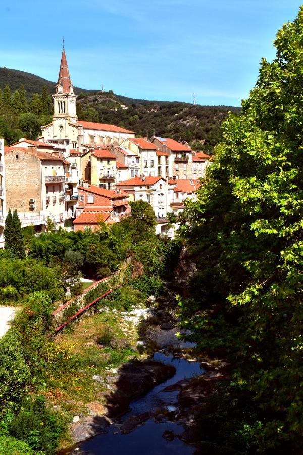 T2 Tout Confort Amélie-les-Bains-Palalda Exterior foto